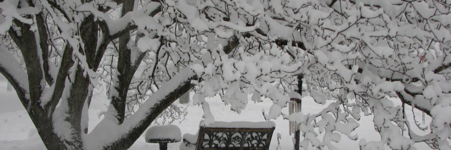 2010blizzard